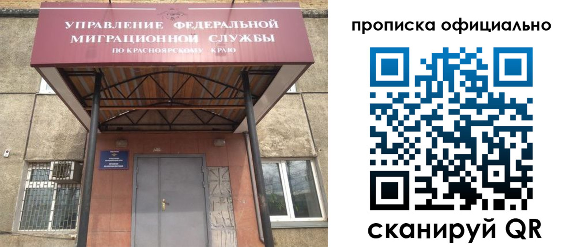 прописка поиск в Ершове